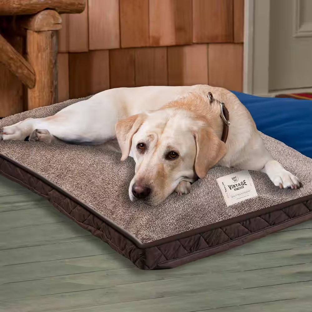 40 In. X 30 In. Piping Chocolate Quilted Microsuede Pet Bed